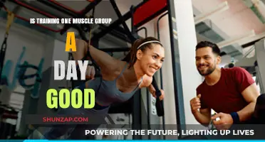 Is Training One Muscle Group a Day Good?