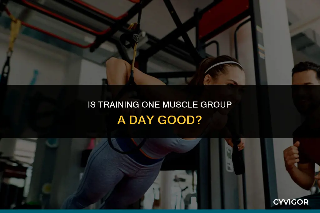 is training one muscle group a day good