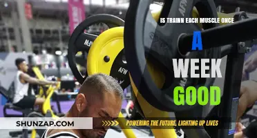 Is Training Each Muscle Once a Week Good?