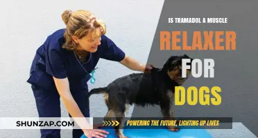 Is Tramadol a Muscle Relaxer for Dogs? Facts and Safety Tips