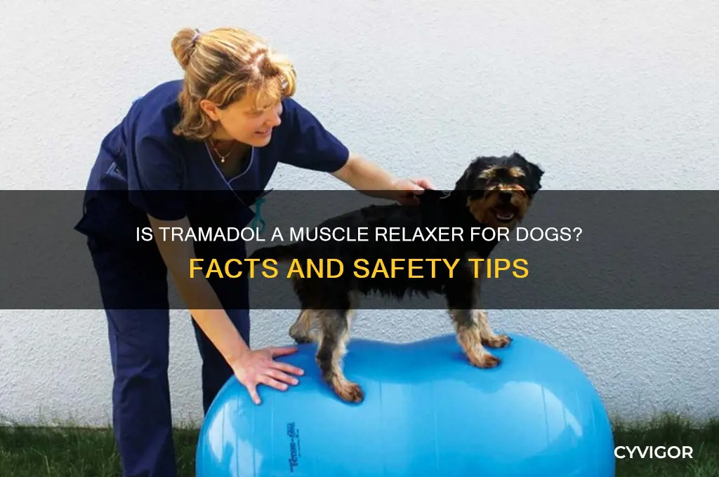 is tramadol a muscle relaxer for dogs