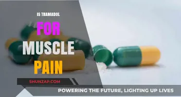 Is Tramadol Effective for Muscle Pain? Benefits, Risks, and Alternatives