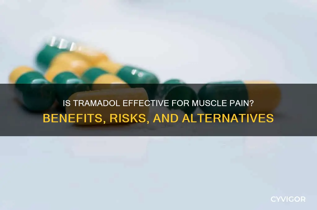 is tramadol for muscle pain