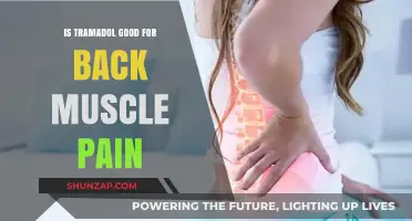 Exploring Tramadol's Effectiveness for Back Muscle Pain Relief