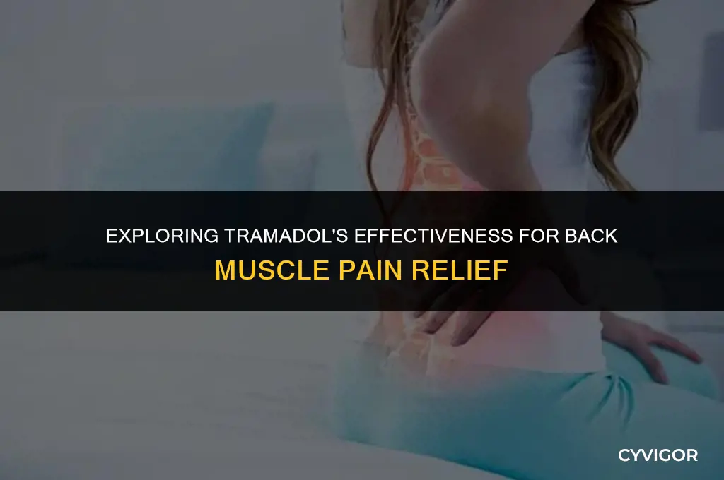 is tramadol good for back muscle pain
