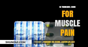 Exploring Tramadol's Effectiveness for Muscle Pain Relief