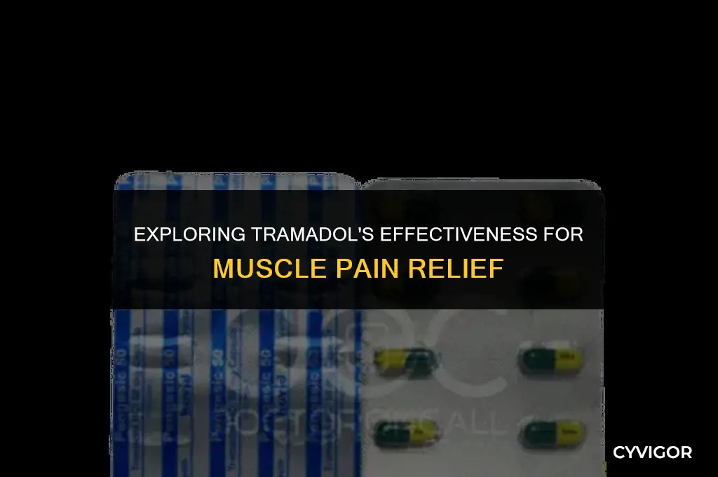 is tramadol good for muscle pain
