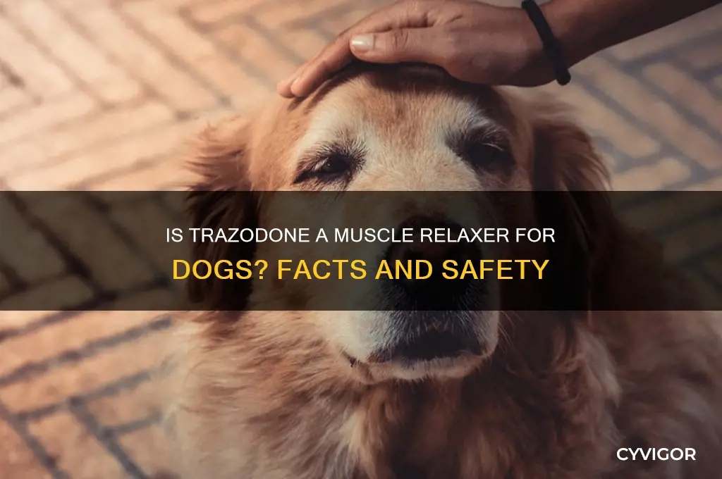 is trazodone a muscle relaxer for dogs