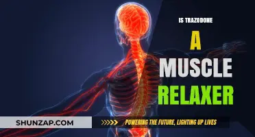Is Trazodone a Muscle Relaxer? Exploring Its Uses and Effects