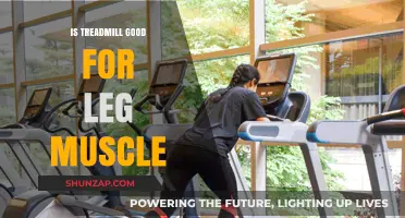 Strengthening Your Legs: The Treadmill's Role in Muscle Building