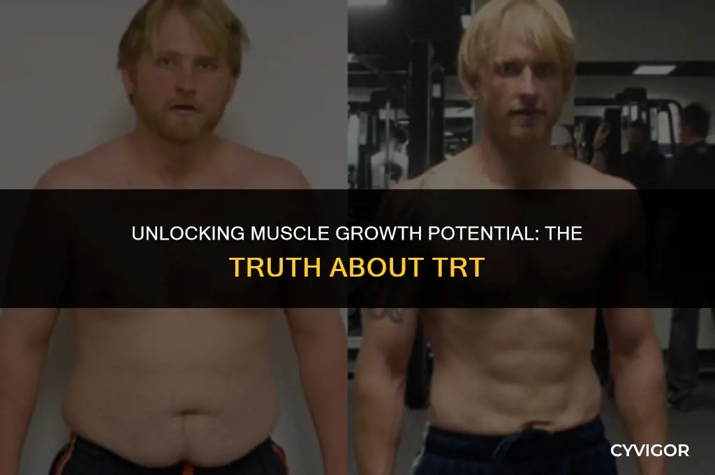 is trt good for muscle growth