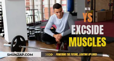 How TS and Yoga Strengthen Your Muscles