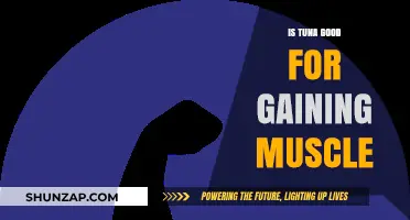 Tuna for Muscle Gain: Benefits, Protein Content, and Fitness Tips