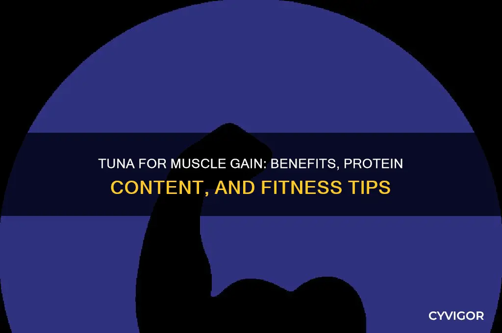is tuna good for gaining muscle