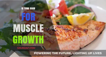 Tuna for Muscle Growth: Benefits, Protein, and Fitness Impact