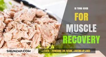 Tuna: A Protein Powerhouse for Muscle Recovery?