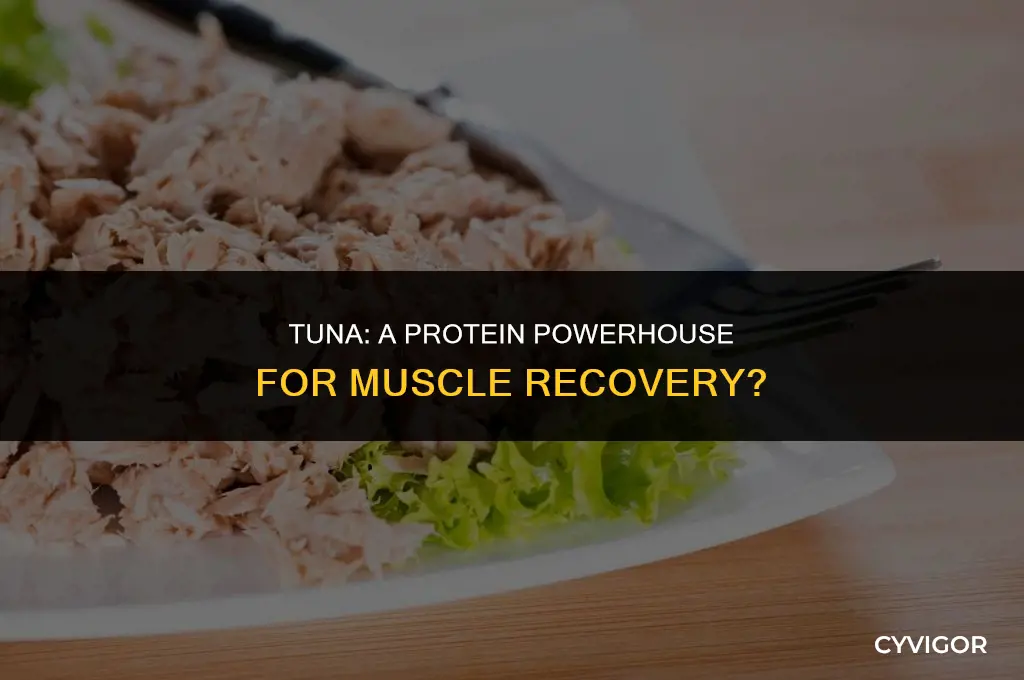 is tuna good for muscle recovery