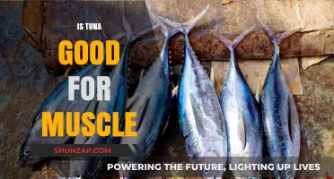 Tuna: A Muscle-Friendly Superfood for Fitness Enthusiasts