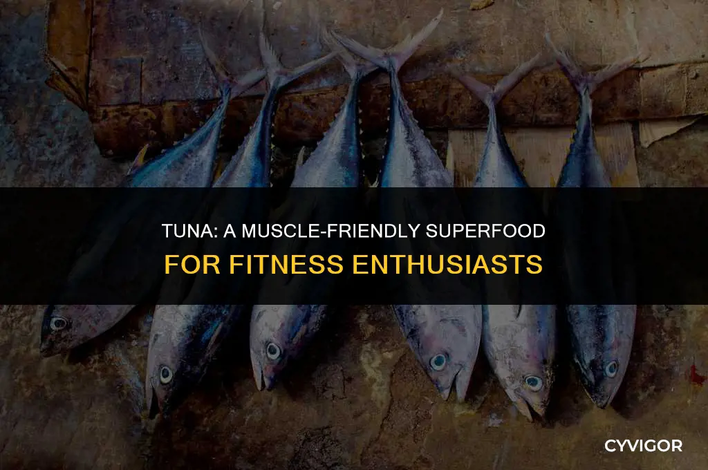 is tuna good for muscle