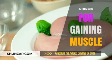 Is Tuna a Muscle-Building Superfood? Unlocking Its Protein Power