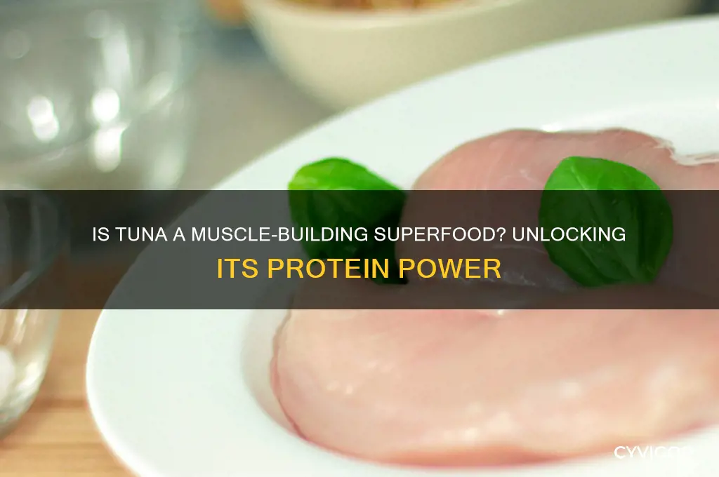 is tuns good for gaining muscle