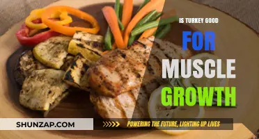 Fuel Your Gains: The Surprising Benefits of Turkey for Muscle Growth
