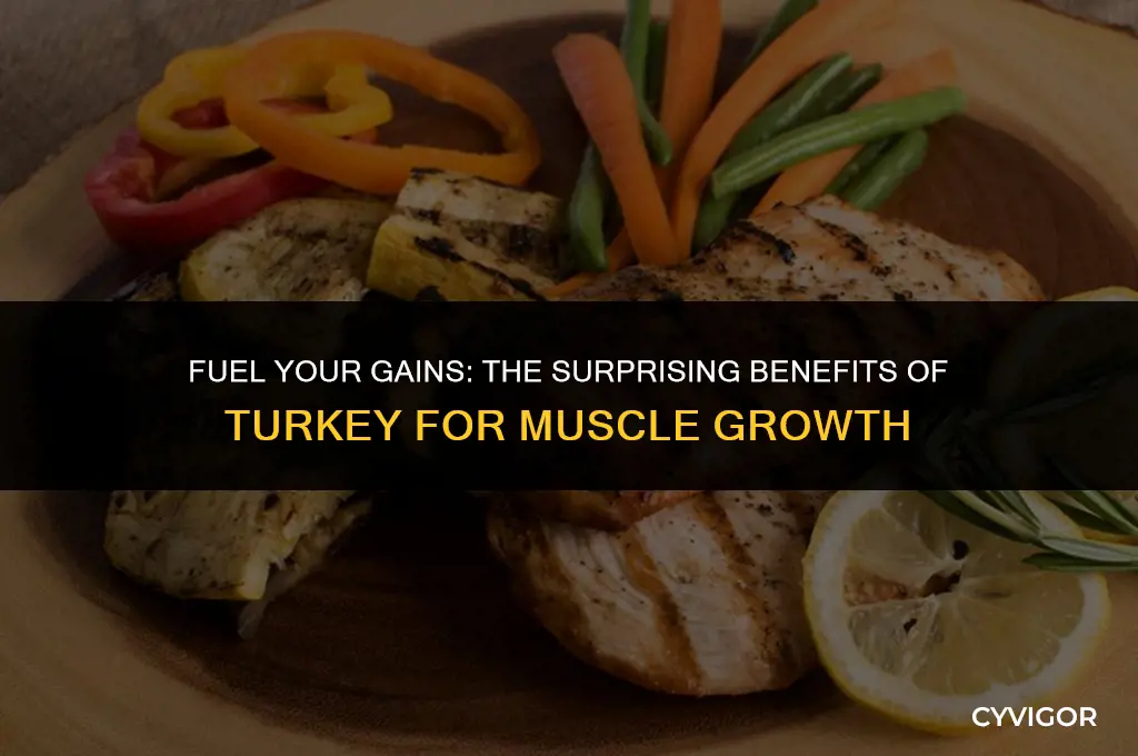 is turkey good for muscle growth