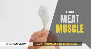 Turkey Meat: Muscle or Mystery?