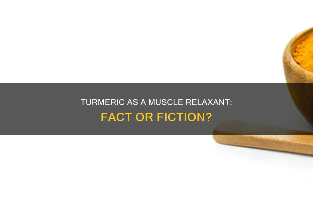 is turmeric a muscle relaxant