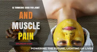 Turmeric's Power: Easing Joint and Muscle Pain Naturally