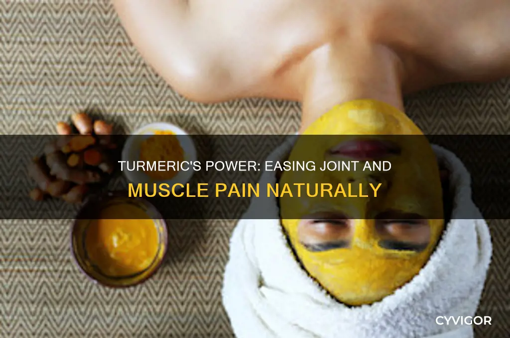 is turmeric good for joint and muscle pain