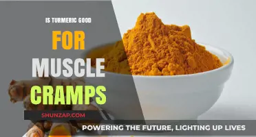 Exploring Turmeric's Potential Benefits for Muscle Cramp Relief