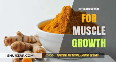 Unlocking the Power of Turmeric for Optimal Muscle Growth