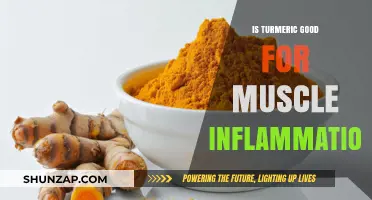 Turmeric's Anti-Inflammatory Benefits: Can It Soothe Muscle Pain?