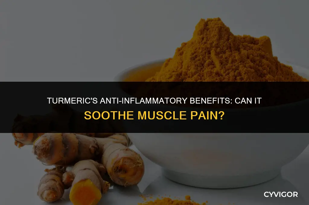 is turmeric good for muscle inflammation