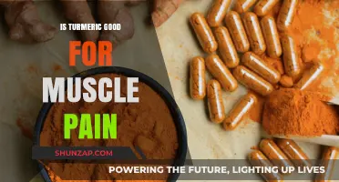 Exploring Turmeric's Potential Benefits for Muscle Pain Relief