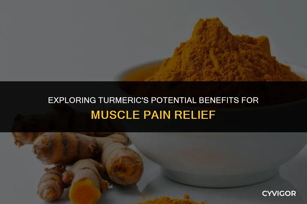 is turmeric good for muscle pain