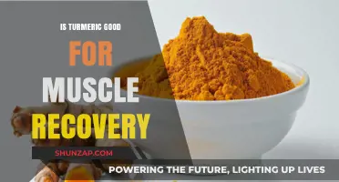 Unlocking Turmeric's Potential: A Natural Boost for Muscle Recovery?