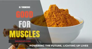 Unlocking the Power of Turmeric for Muscle Health and Recovery