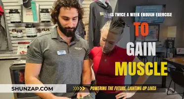 Twice-Weekly Workouts: Can You Build Muscle with Minimal Exercise?