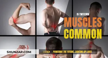 Muscle Twitching: A Common Concern, Explained