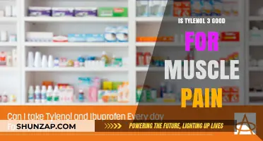 Is Tylenol 3 Effective for Relieving Muscle Pain? Find Out