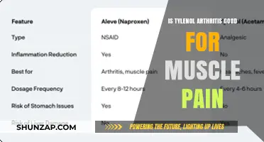 Tylenol Arthritis for Muscle Pain: Effective Relief or Alternative Needed?