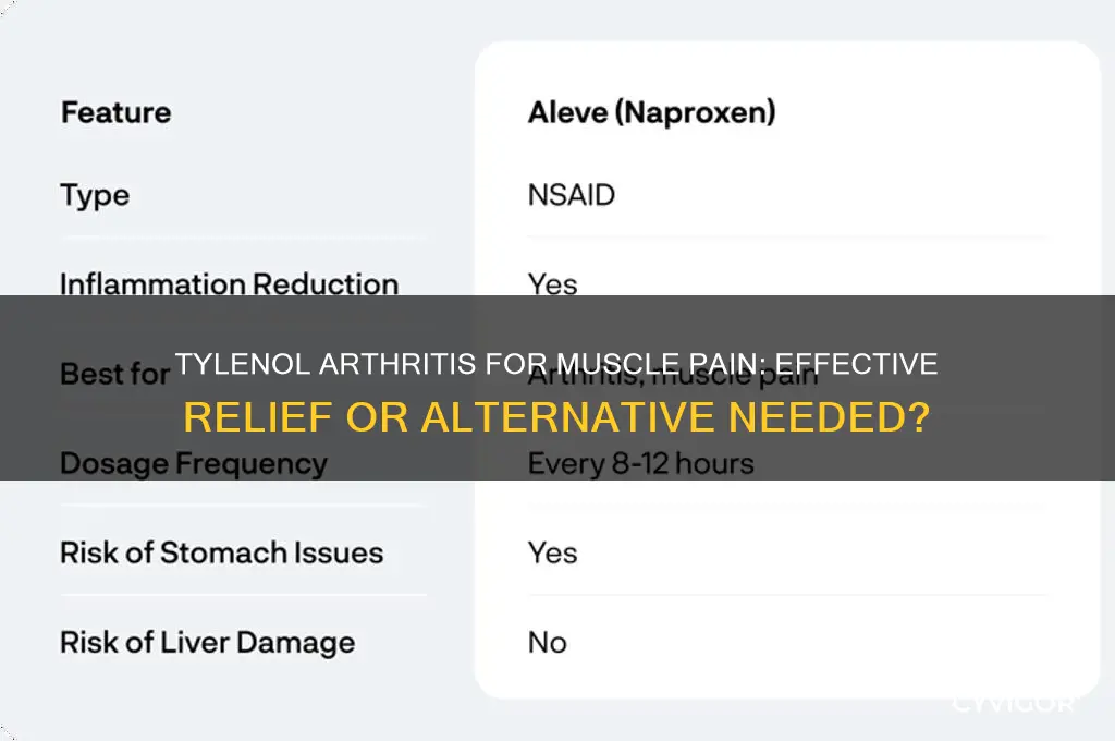 is tylenol arthritis good for muscle pain