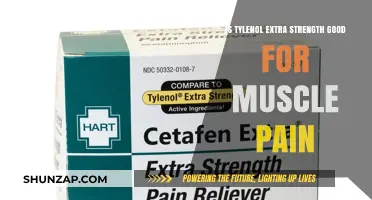 Tylenol Extra Strength: Effective Muscle Pain Relief or Not?