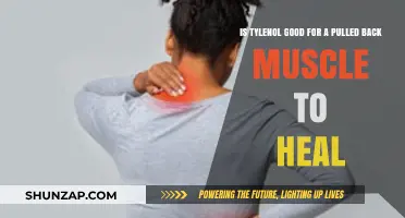 Can Tylenol Help Heal a Pulled Back Muscle? Find Out Here