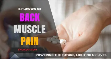 Is Tylenol Effective for Relieving Back Muscle Pain? Find Out Here
