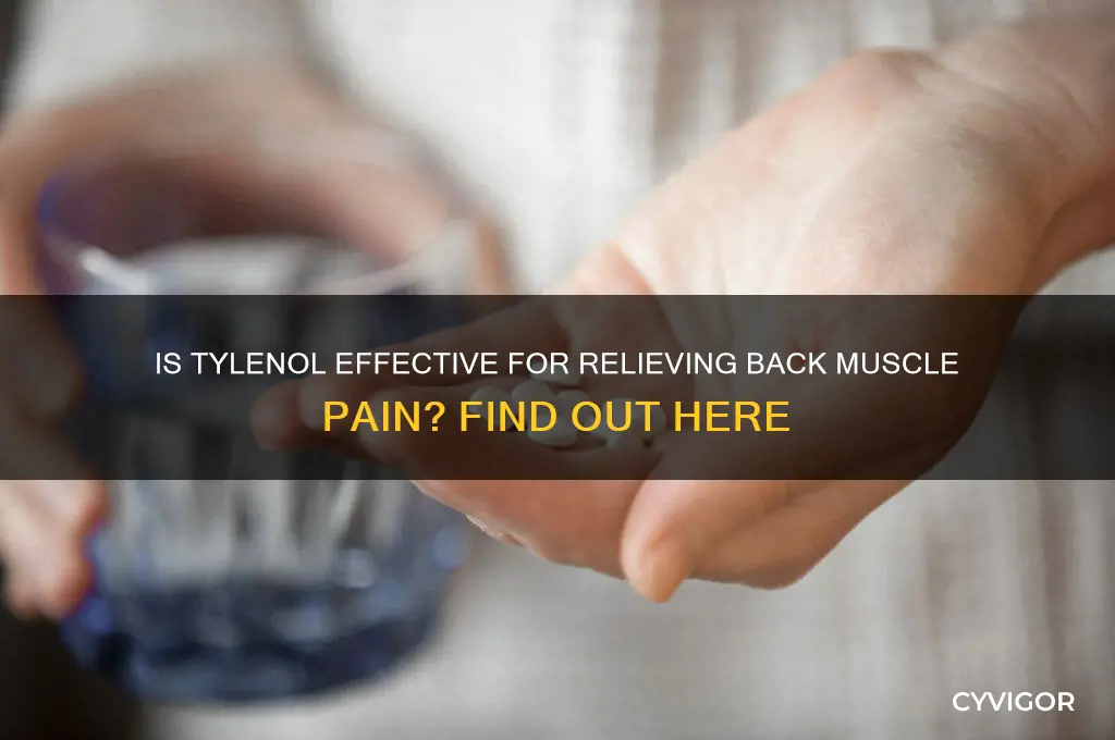 is tylenol good for back muscle pain