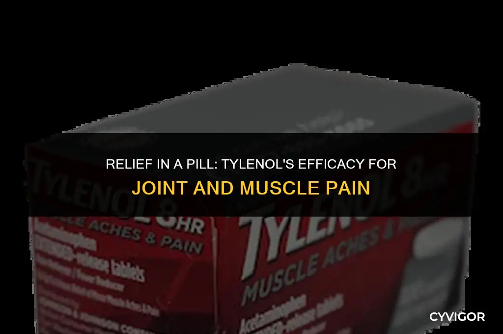 is tylenol good for joint and muscle pain
