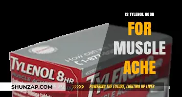 Relief for Muscle Aches: Is Tylenol the Right Choice?